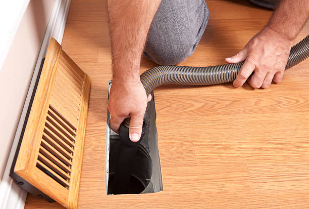 Best Air Duct Mold Removal  in Palm Bay, FL